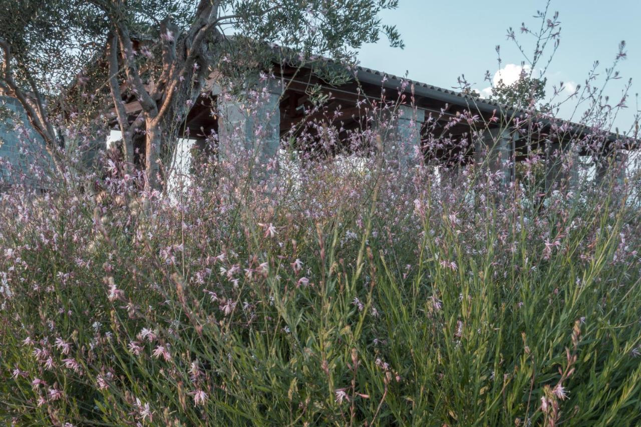 I Cacciagalli Wine Resort Teano Exterior photo