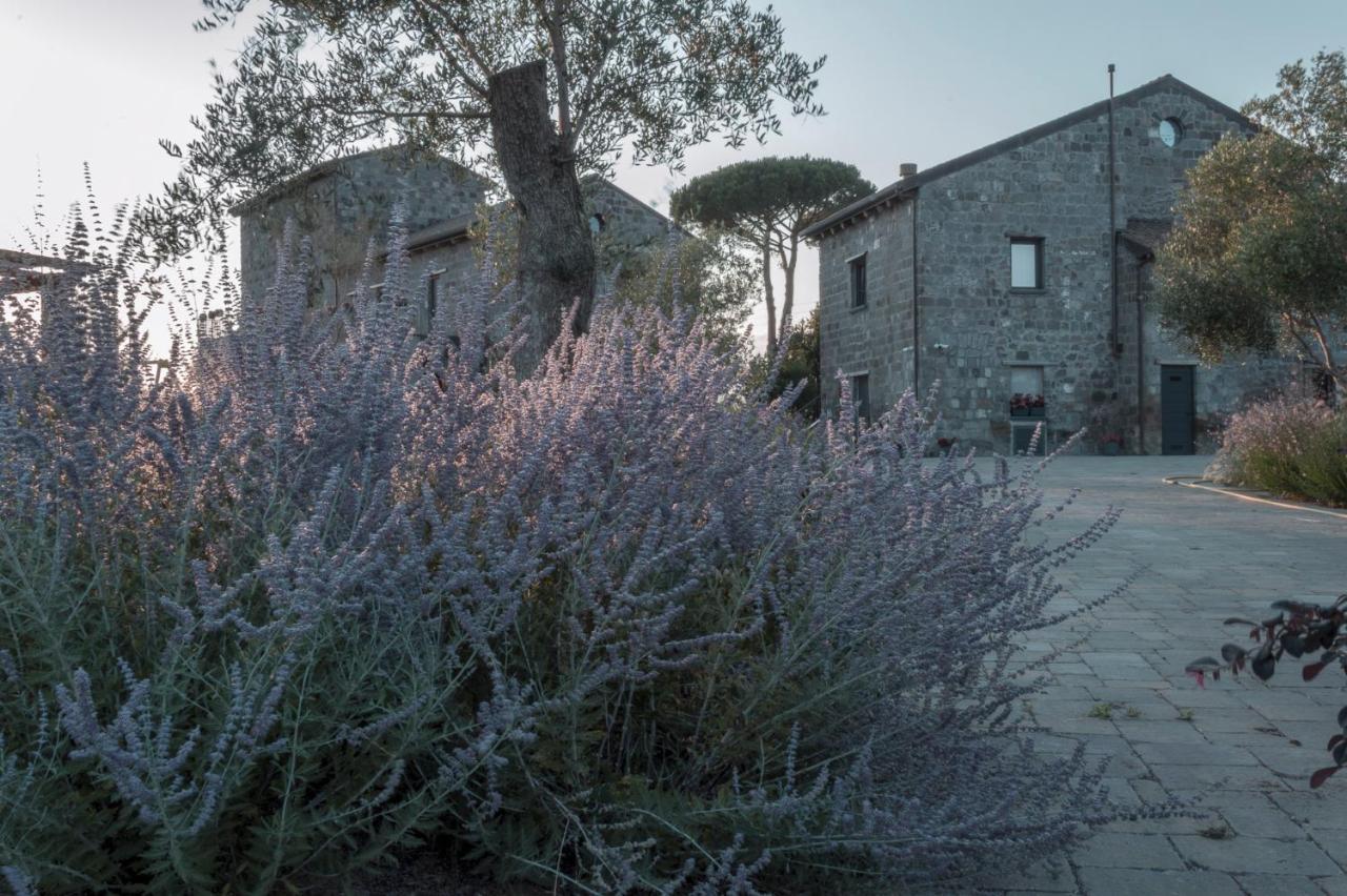 I Cacciagalli Wine Resort Teano Exterior photo