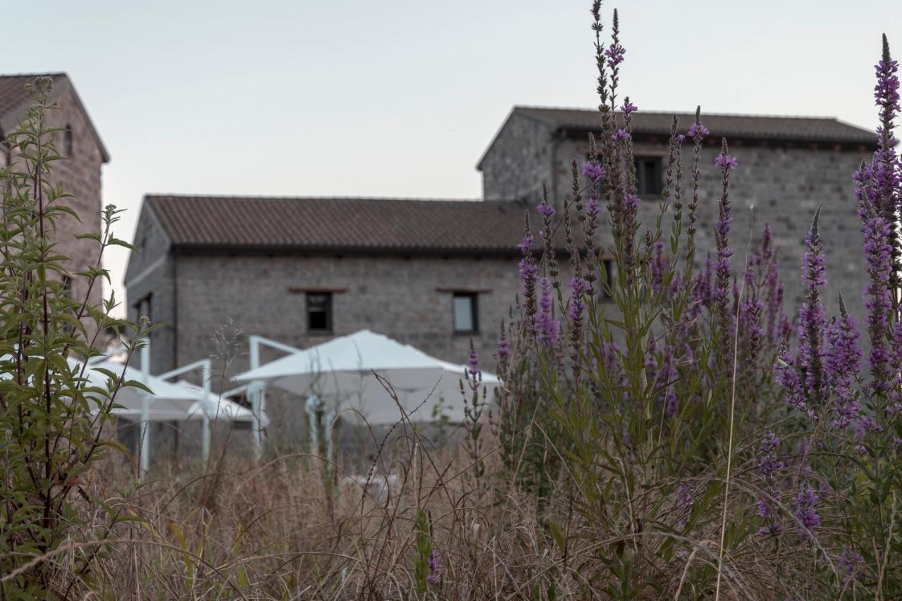 I Cacciagalli Wine Resort Teano Exterior photo