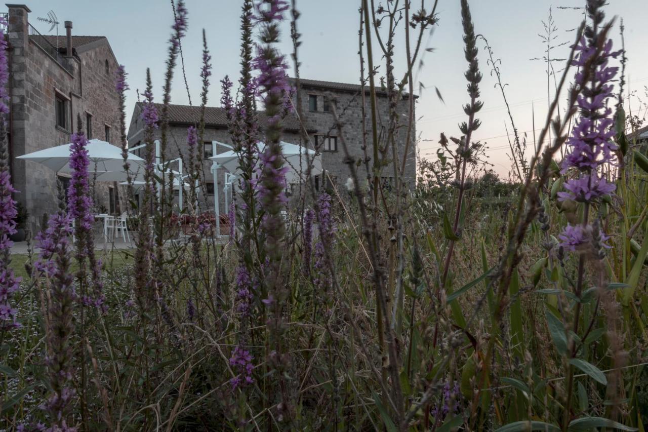 I Cacciagalli Wine Resort Teano Exterior photo