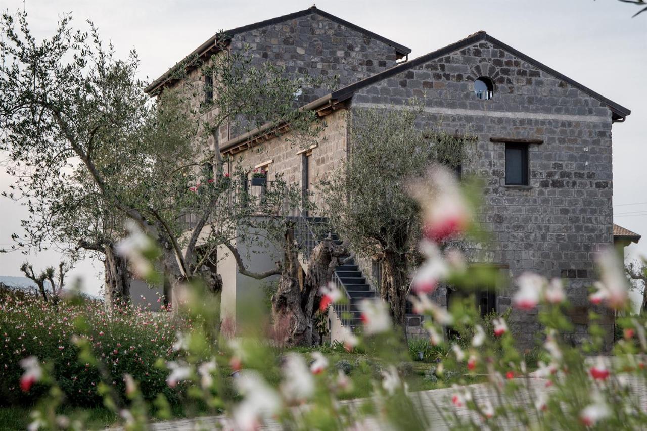 I Cacciagalli Wine Resort Teano Exterior photo