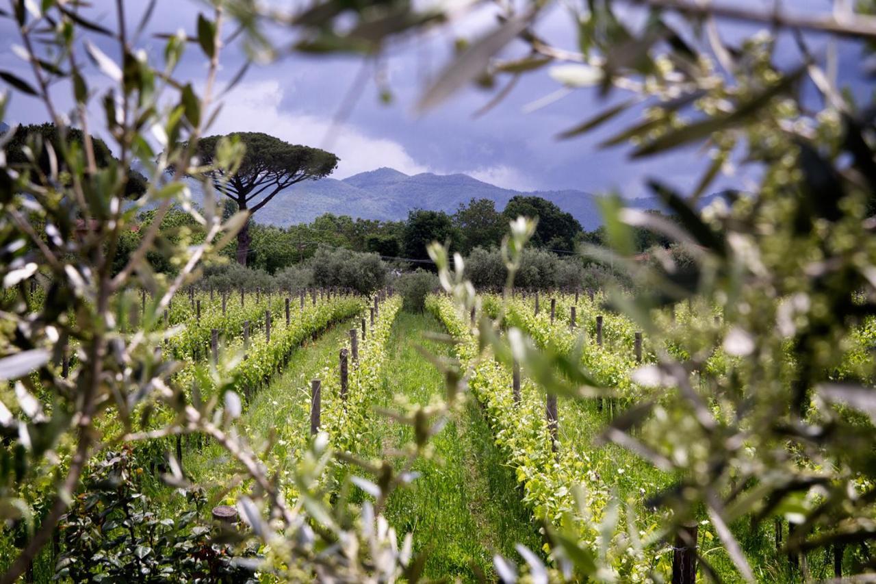 I Cacciagalli Wine Resort Teano Exterior photo