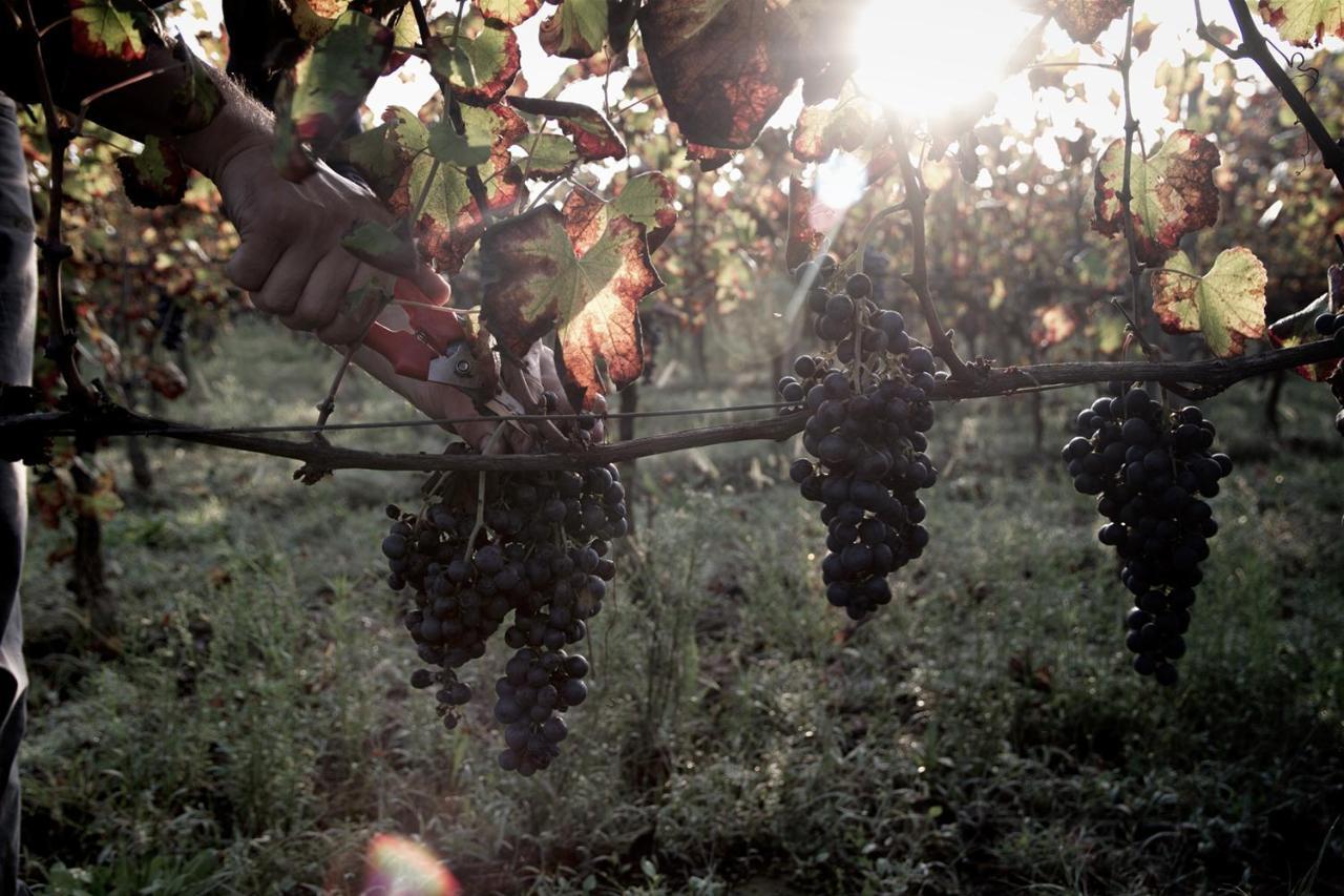 I Cacciagalli Wine Resort Teano Exterior photo
