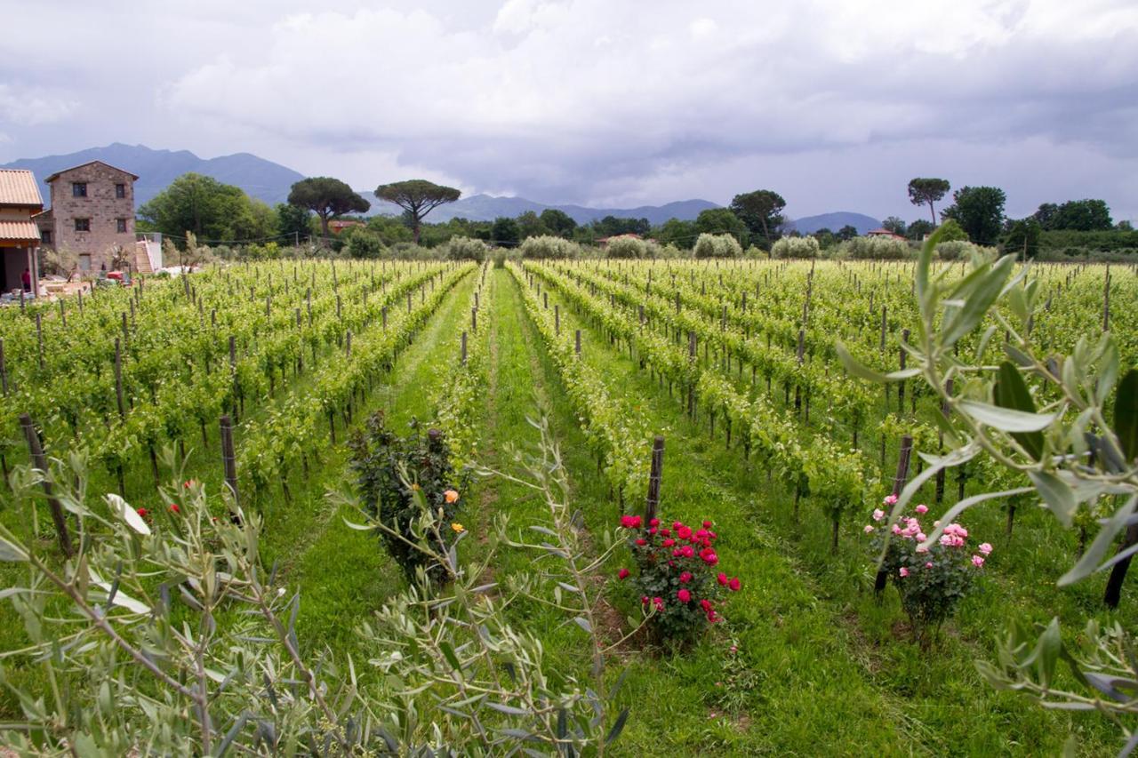 I Cacciagalli Wine Resort Teano Exterior photo